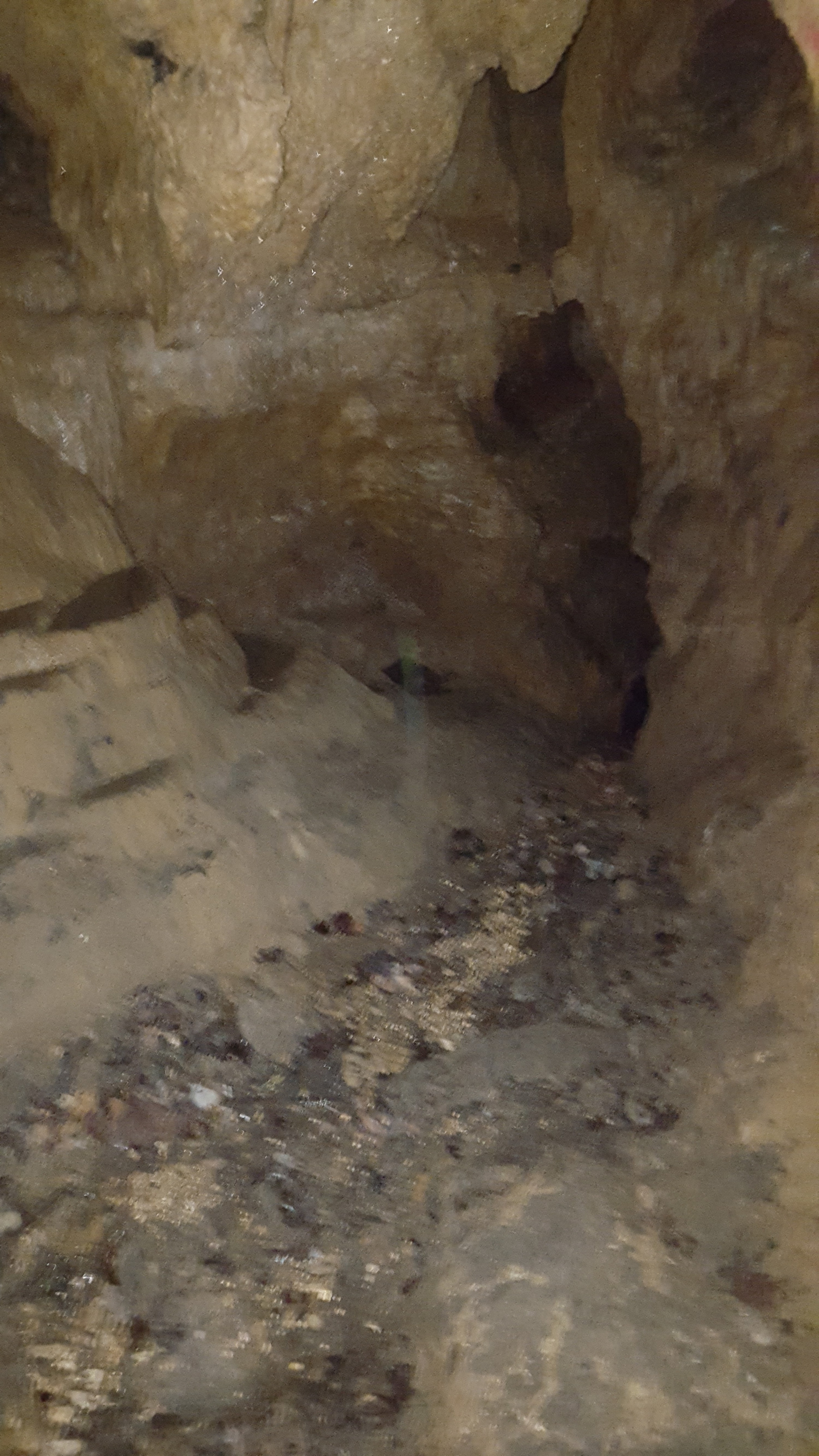 2988px x 5312px - greensfelder-mud-cave-terrace - Greater St. Louis Parks
